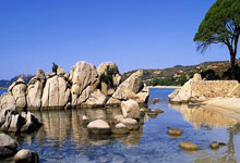 球速体育welcome:【原创】足彩推荐单:周四001英足总杯-谢菲联VS加的夫城.